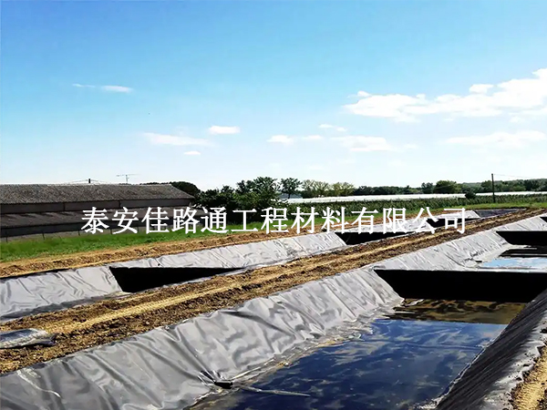 水產(chǎn)養(yǎng)殖防滲膜鋪裝技術要求:構建高效防水屏障 水產(chǎn)養(yǎng)殖防滲膜鋪裝技術要求:構建高效防水屏障
