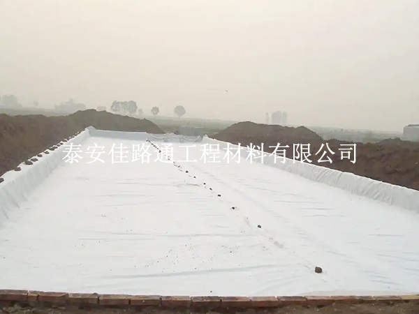 復(fù)合土工膜:水產(chǎn)養(yǎng)殖的新守護者 復(fù)合土工膜:水產(chǎn)養(yǎng)殖的新守護者