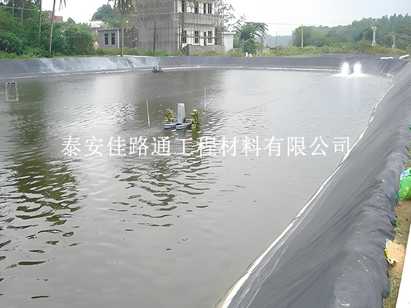魚塘防滲膜老化快？這些因素在悄悄影響使用壽命