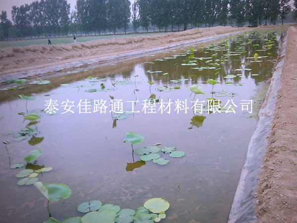 養(yǎng)殖防滲膜施工質量咋檢測？這些技巧要掌握