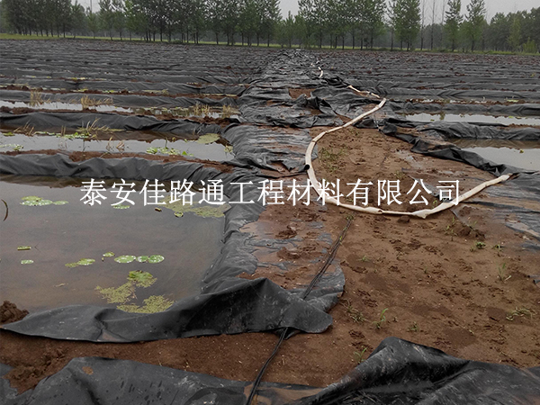 養(yǎng)殖防滲膜養(yǎng)護別大意，這些方法延長壽命